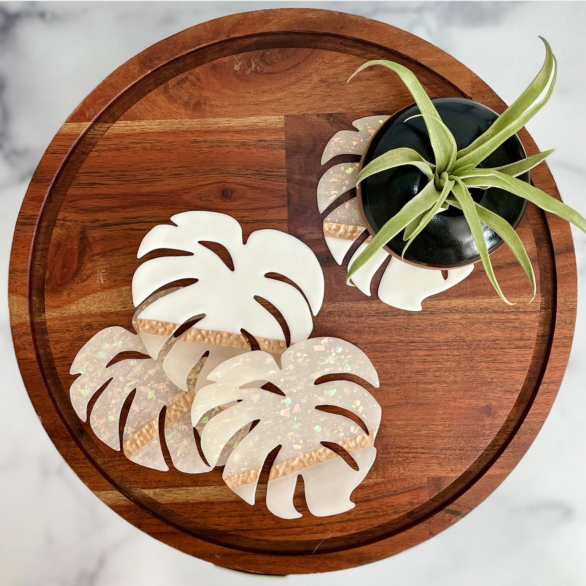 Opal Monstera Coaster Set